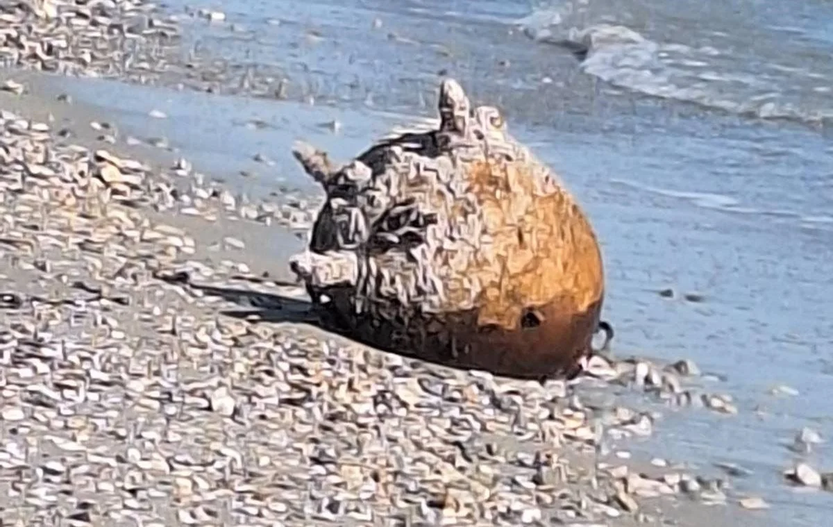 Морська міна на березі Чорного моря після шторму